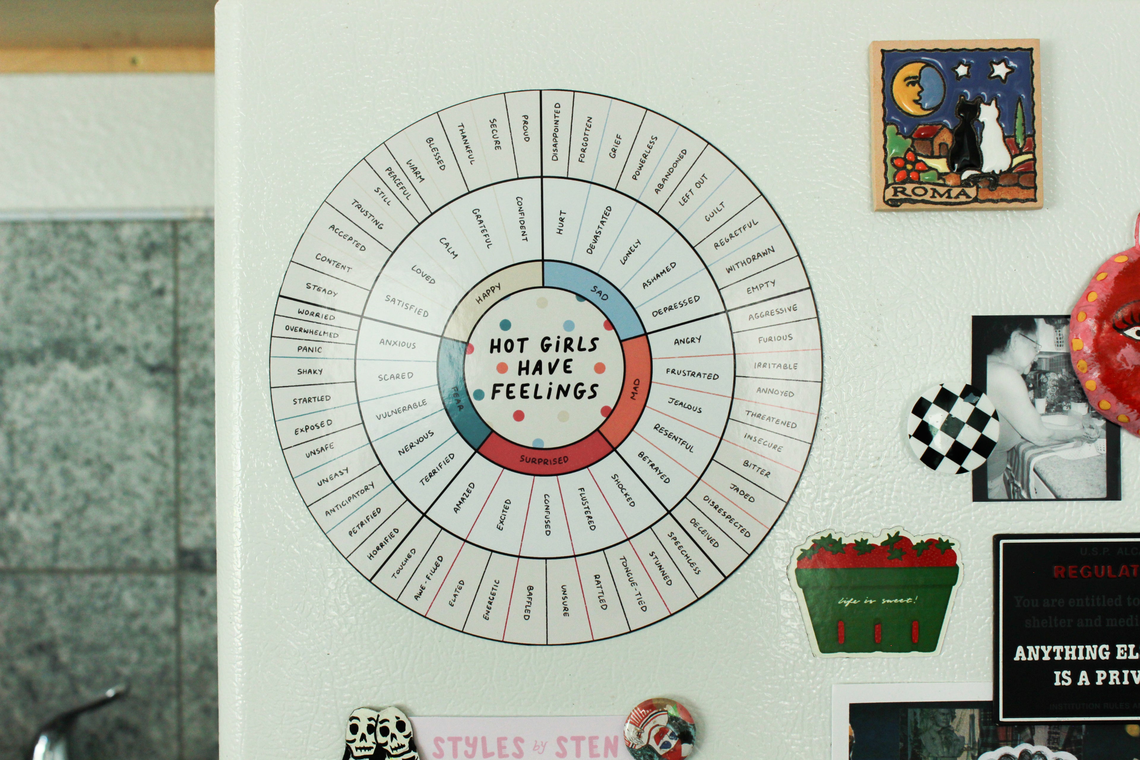 Hot Girls Have Feelings Wheel